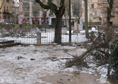Imagen secundaria 1 - Arriba, un gran pino derrumbado en la plaza de Día Sanz; abajo a la izquierda, ramas en el jardín de Los Huertos, a la derecha, el tronco desgajado de un ejemplar en el paseo de Santo Domingo.