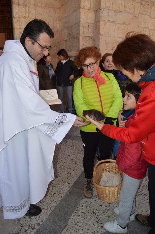 San Antón en Cigales.