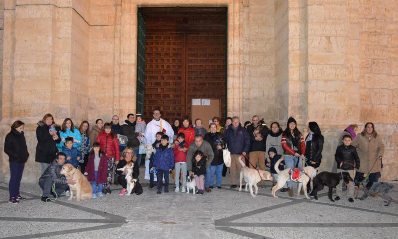 San Antón en Cigales.