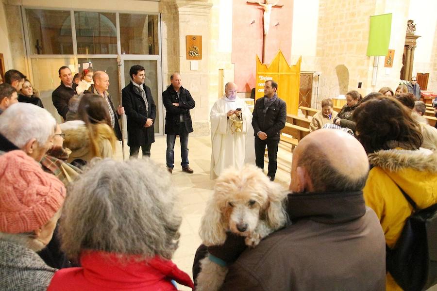 San Antón en Medina de Rioseco.
