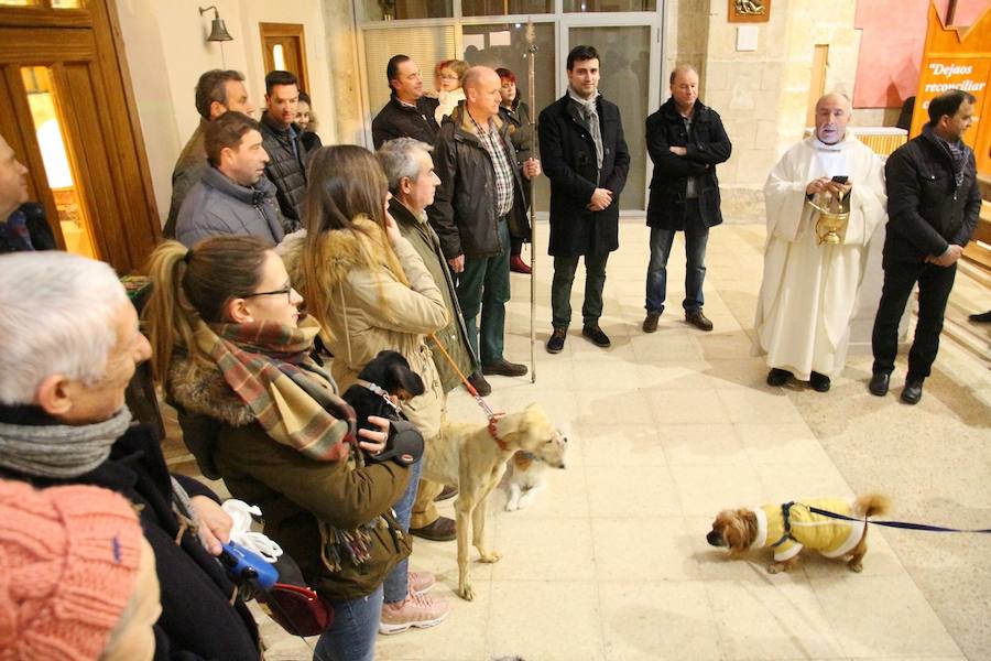 San Antón en Medina de Rioseco.