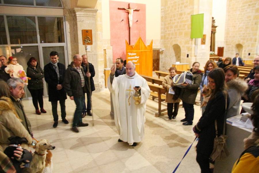 San Antón en Medina de Rioseco.