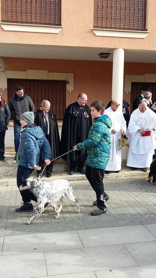 Becerril celebra su fiesta de invierno