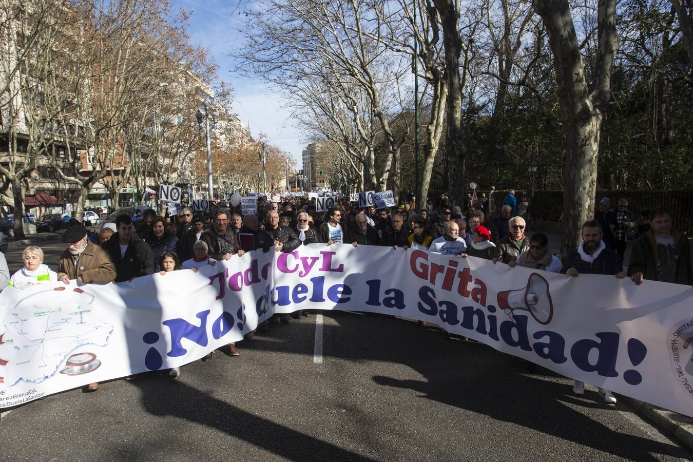 Miles de personas recorren las calles de Valladolid en defensa de la Sanidad de Castilla y León