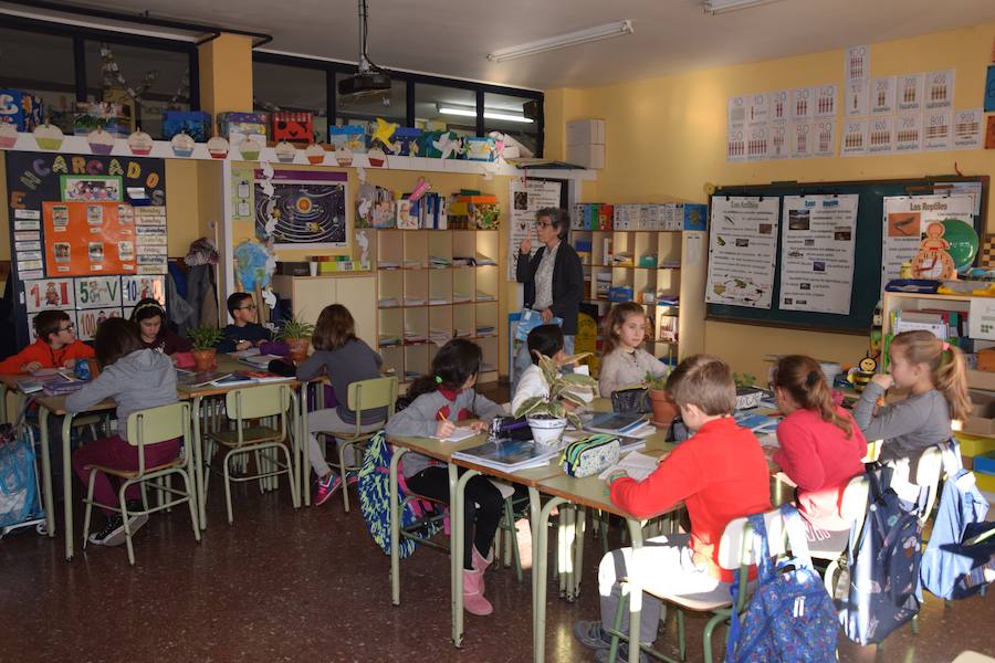 Colegio Las Rozas de Guardo, en imágenes