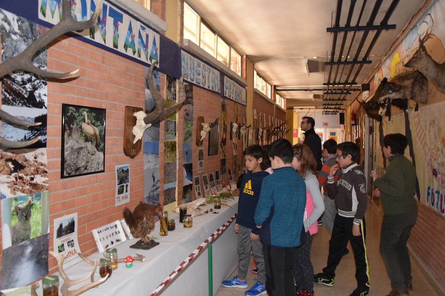 Colegio Las Rozas de Guardo, en imágenes