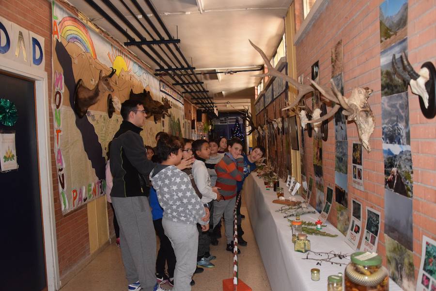 Colegio Las Rozas de Guardo, en imágenes