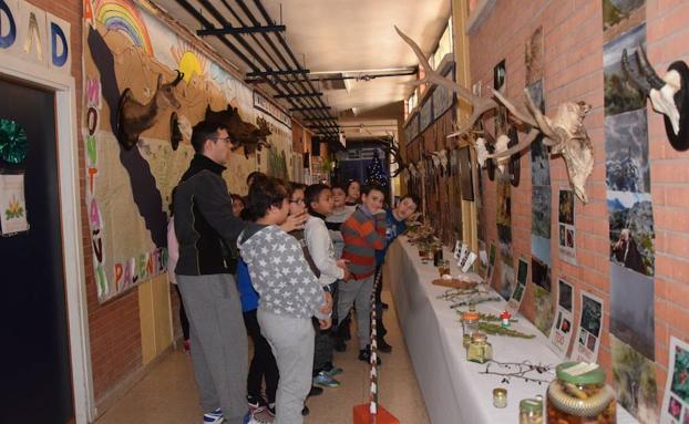 Los alumnos visitan la exposición sobre la Montaña Palentina. 
