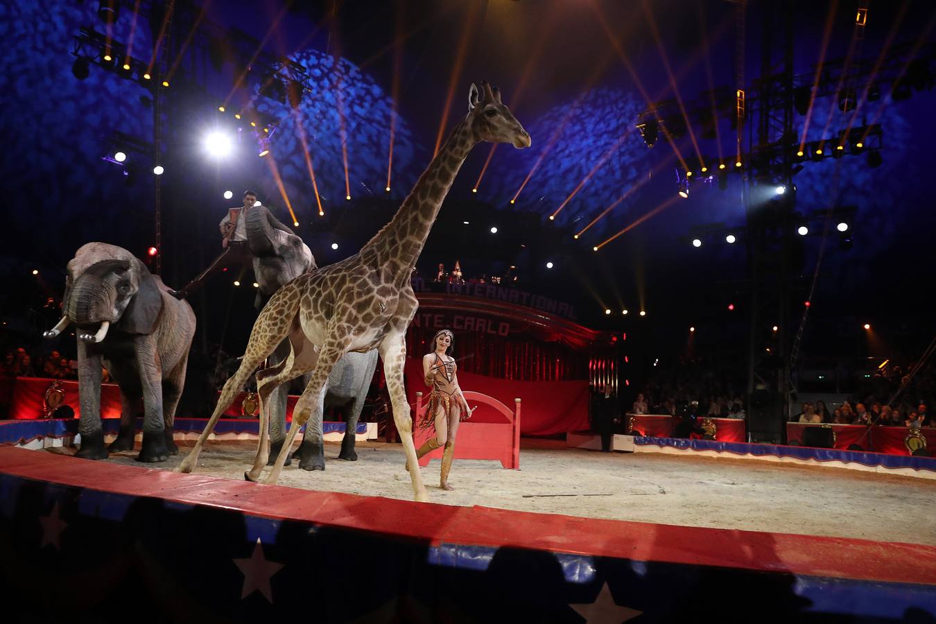 El Festival Internacional del Circo de Montecarlo celebra este año su 42ª edición