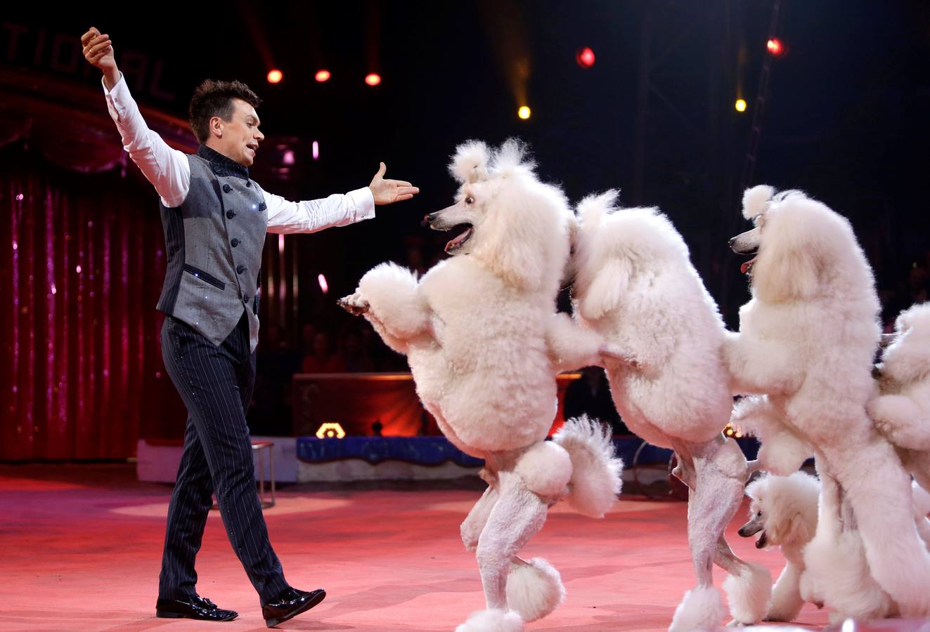 El Festival Internacional del Circo de Montecarlo celebra este año su 42ª edición