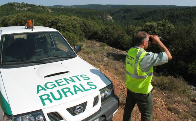 La Guardia Civil identifica al hombre que intentó ahogar a un jabalí en una acequia