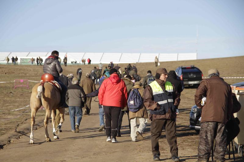 Ambiente en la carrera de galgos de este sábado en Madrigal de las Altas Torres, durante los cuartos de final del Campeonato Nacional