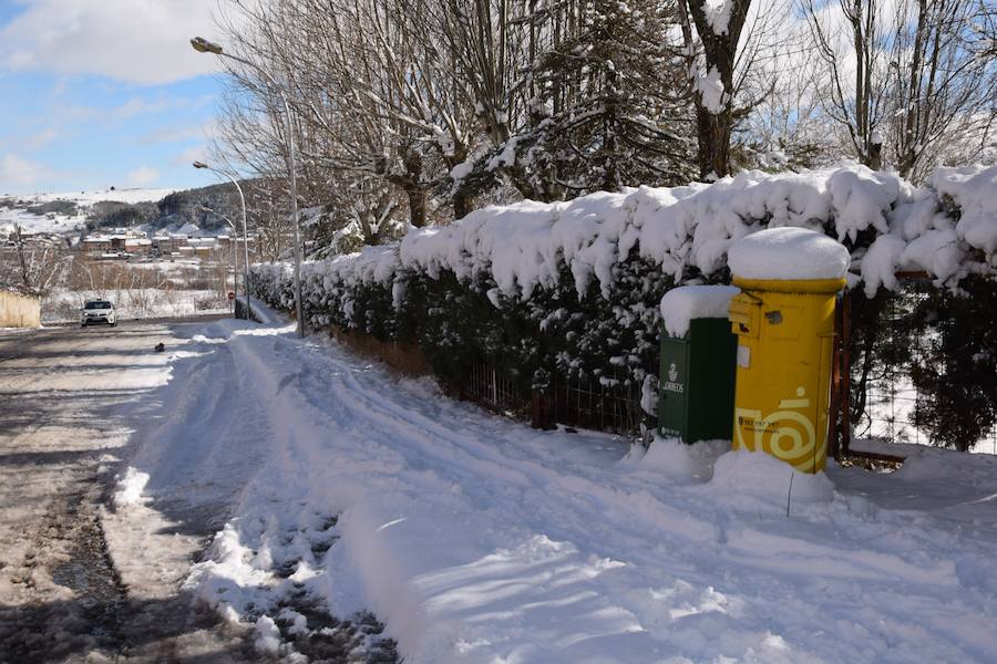 Nevada en Guardo el 2 de febrero de 2018