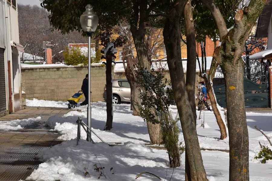 Nevada en Guardo el 2 de febrero de 2018