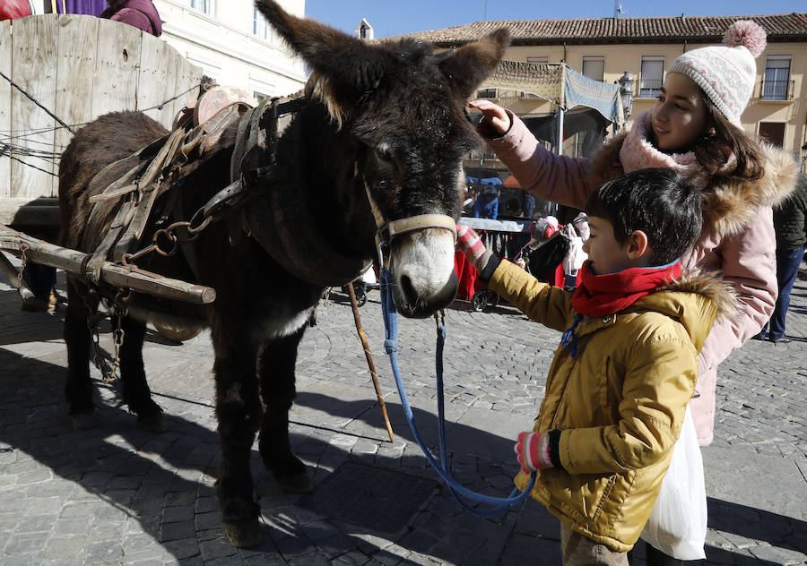 Palencia vive su Mercado Tradicional de las Candelas