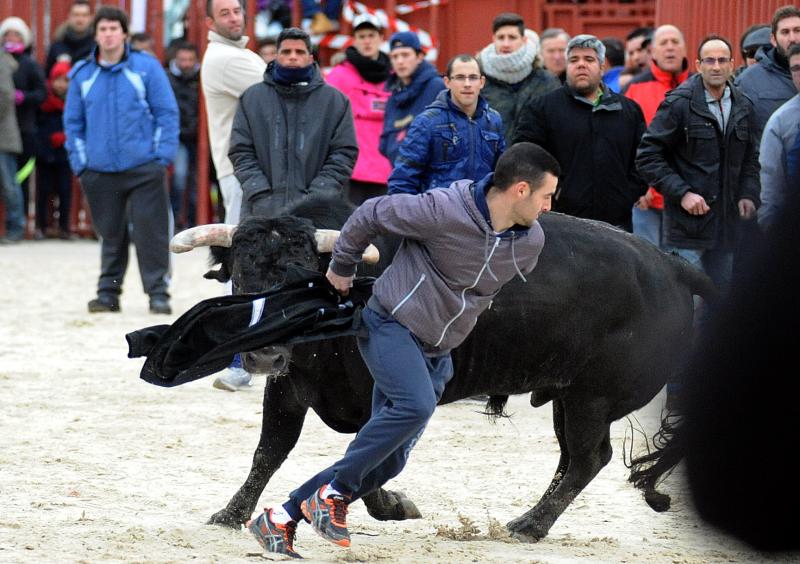 Encierro en Viana de Cega