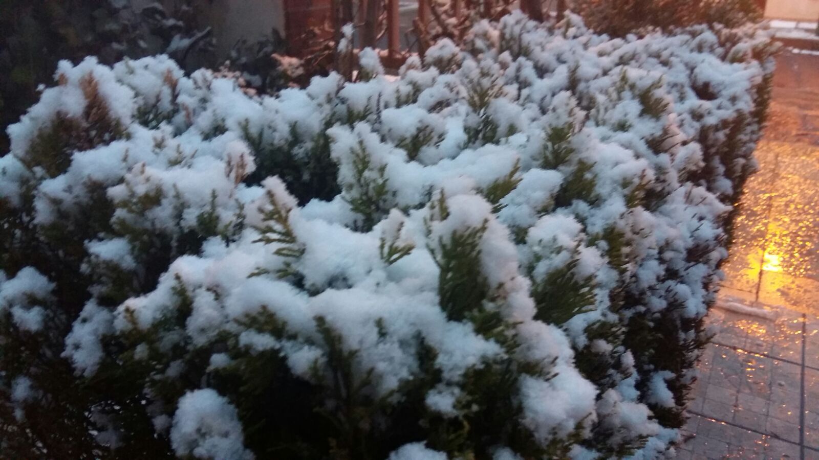Nieve en Medina del Campo