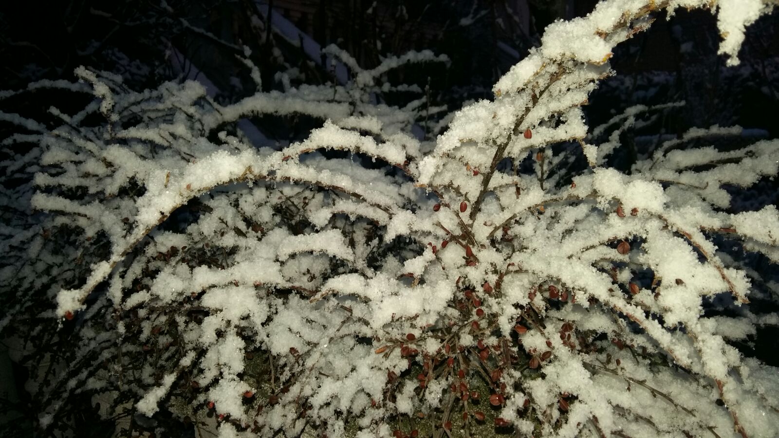 Nieve en Medina del Campo