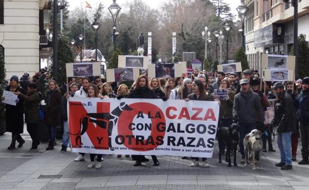 La manifestación contra el maltrato animal, a su paso por la calle Santiago.
