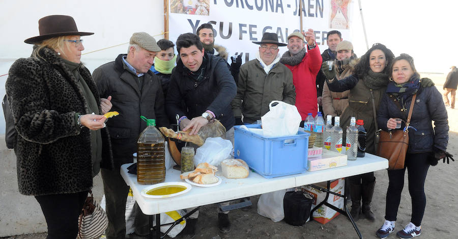 Final del Campeonato de España de Galgos, celebrado en Madrigal de las Altas Torres