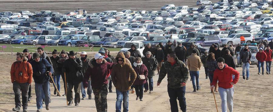 Final del Campeonato de España de Galgos, celebrado en Madrigal de las Altas Torres