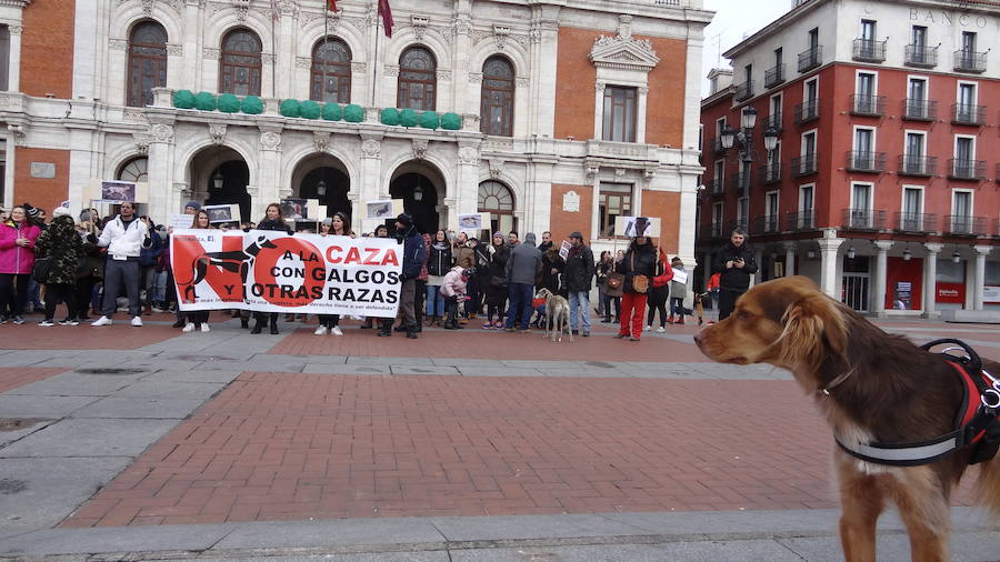 Manifestación organizada con lema No A la Caza