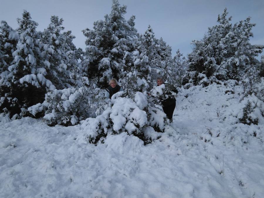 Aquí tienen una selección de fotografías de nieve enviadas por algunos de nuestros lectores. Se pueden ver imágenes de Tubilla del Agua, Ura, Belorado, Fuentelcésped, Quintanar de la Sierra o Sargentes de la Lora