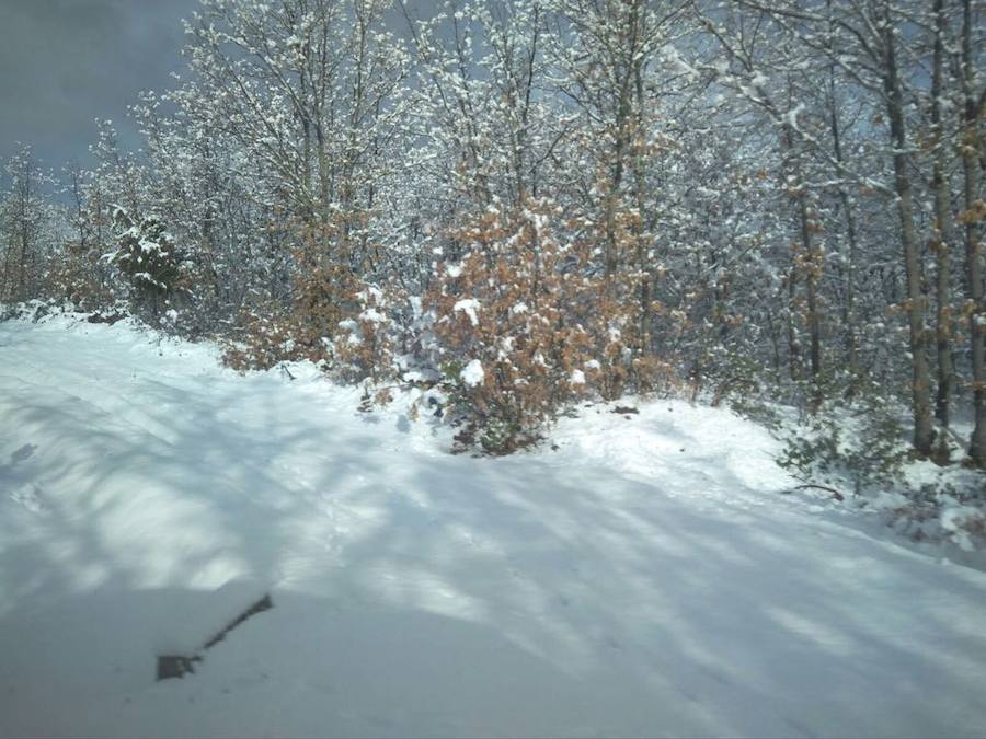 Aquí tienen una selección de fotografías de nieve enviadas por algunos de nuestros lectores. Se pueden ver imágenes de Tubilla del Agua, Ura, Belorado, Fuentelcésped, Quintanar de la Sierra o Sargentes de la Lora