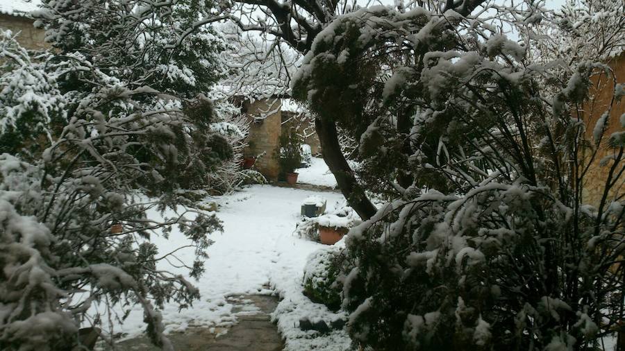 Aquí tienen una selección de fotografías de nieve enviadas por algunos de nuestros lectores. Se pueden ver imágenes de Tubilla del Agua, Ura, Belorado, Fuentelcésped, Quintanar de la Sierra o Sargentes de la Lora