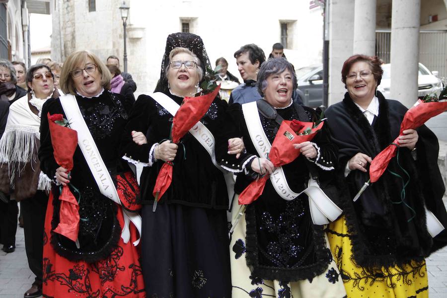 Día de las Águedas en Peñafiel. 
