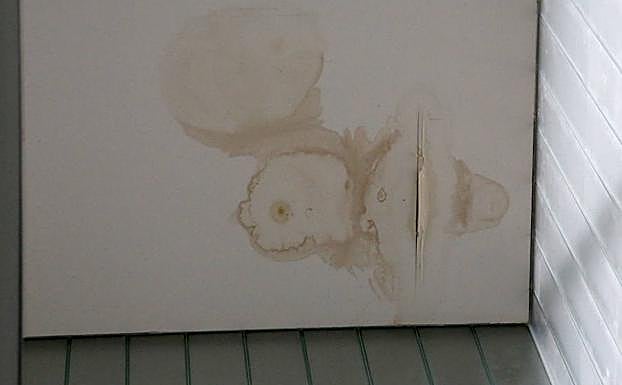 Deterioro de la cubierta.