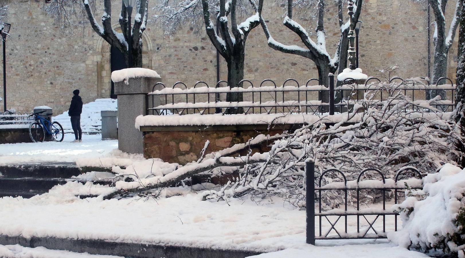La nieve ha dado paso a la formación de placas de hielo