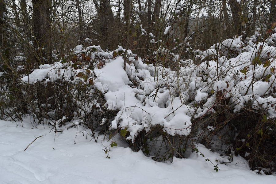 Nieve y hielo en Aguilar este jueves