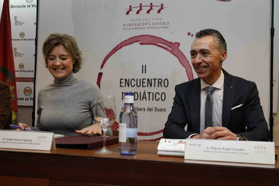 II Encuentros Mediáticos en la Ribera del Duero