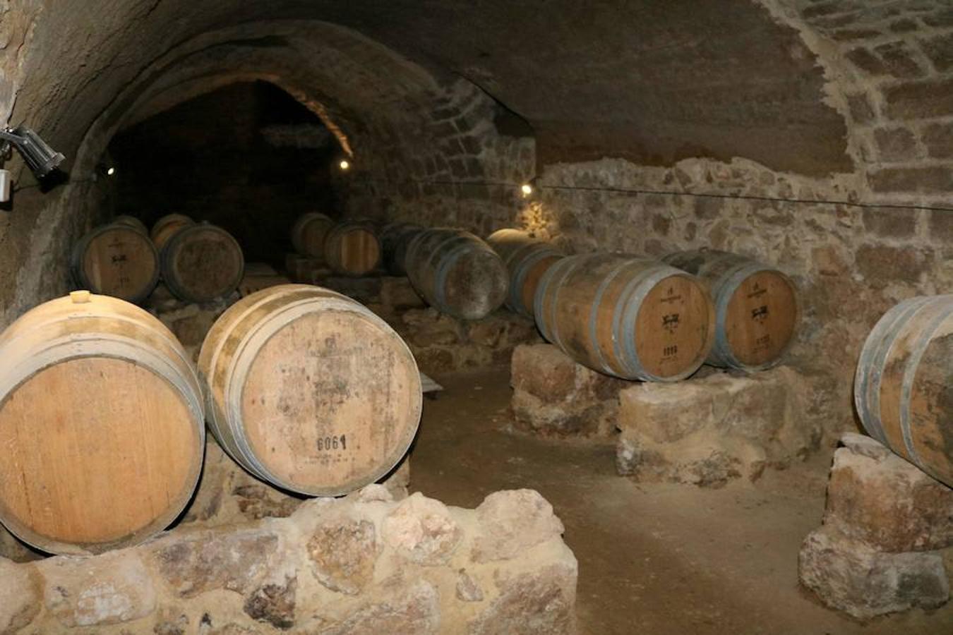 Visitar el Cerrato Palentino deja huella