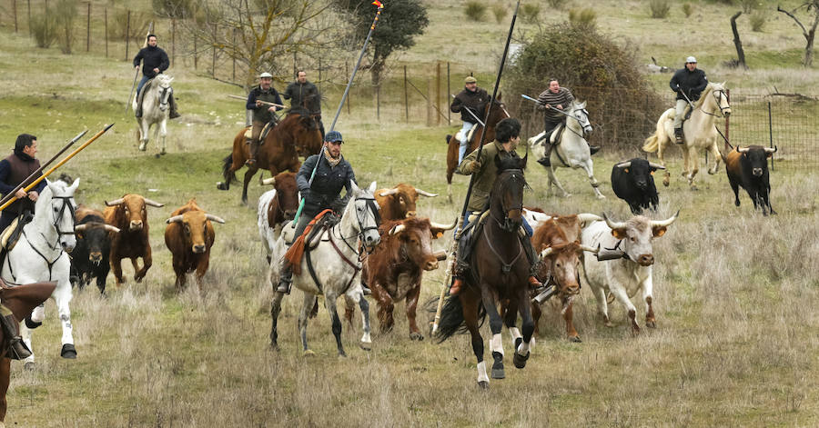 Encierro con caballos con seis toros de la ganadería Emilio Galán Trilla.