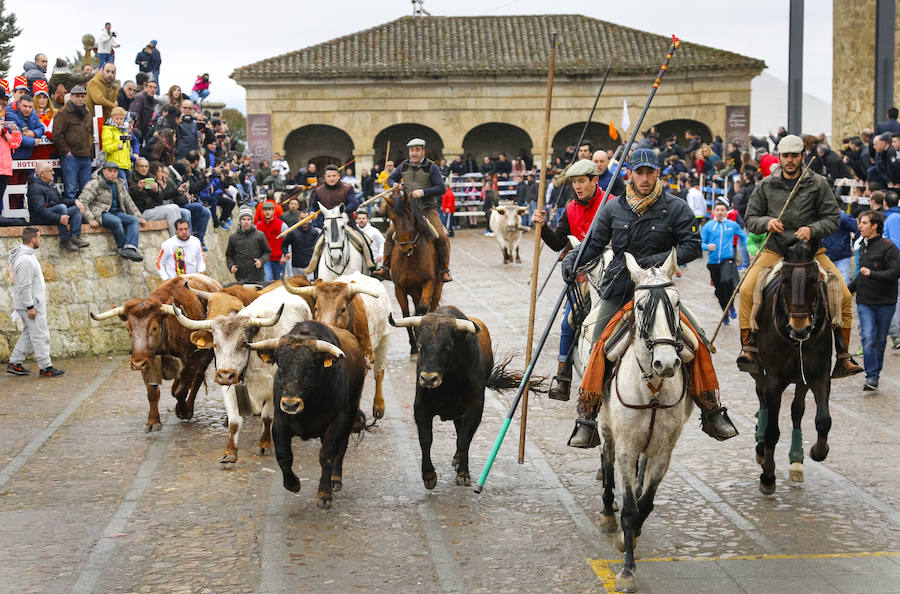 Encierro con caballos con seis toros de la ganadería Emilio Galán Trilla.