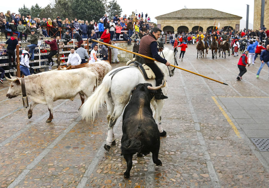 Un caballo fue corneado por uno de los toros