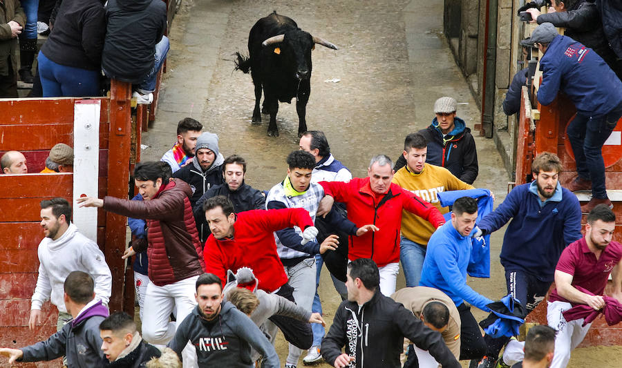 Encierro con caballos con seis toros de la ganadería Emilio Galán Trilla.