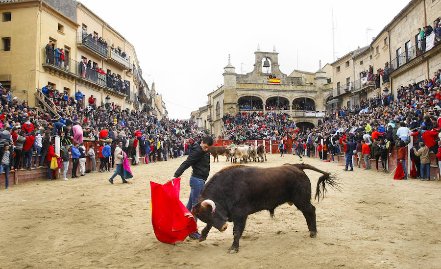 Capea celebrada en la Plaza Mayor de Ciudad Rodrigo