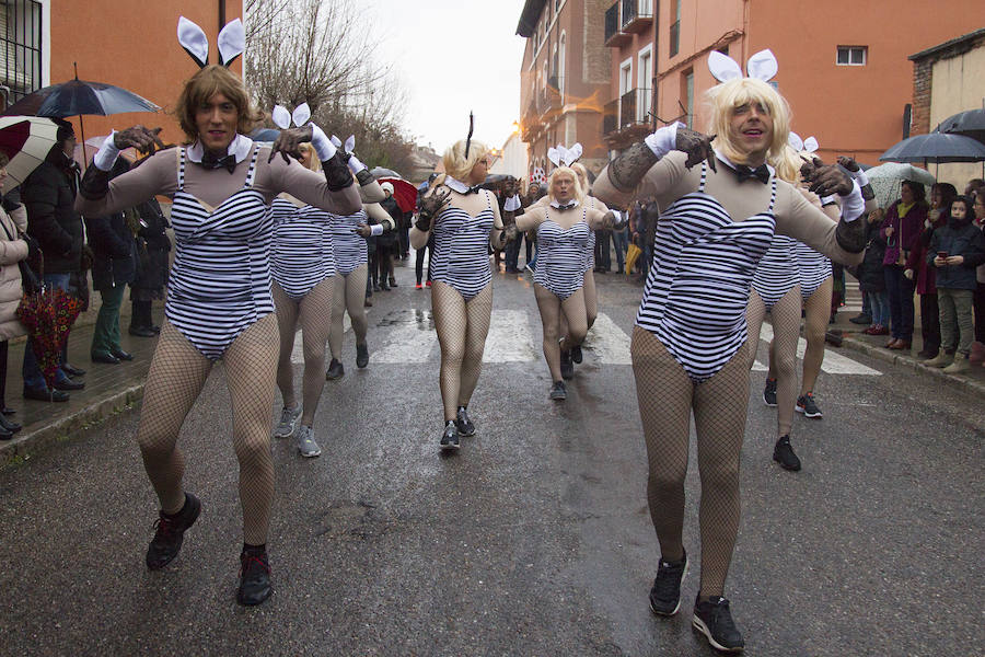 han participado decenas de niños, mayores y murgas, con ingeniosos y divertidos disfraces, carros y carrozas. 