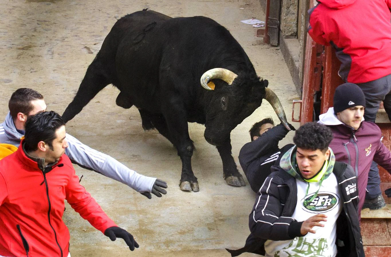 Jornada del martes en el Carnaval del Toro en Ciudad Rodrigo