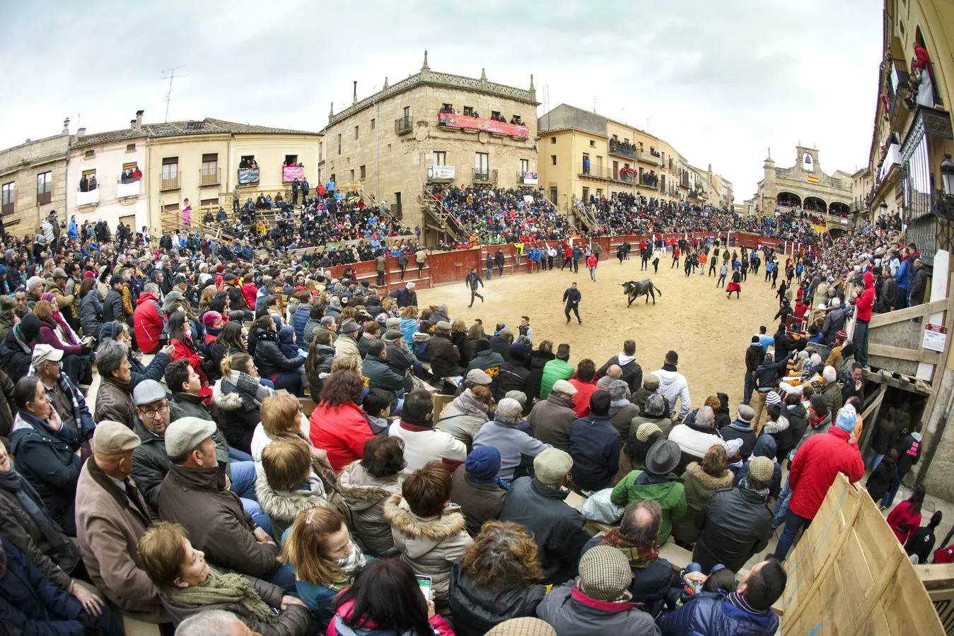 Jornada del martes en el Carnaval del Toro en Ciudad Rodrigo