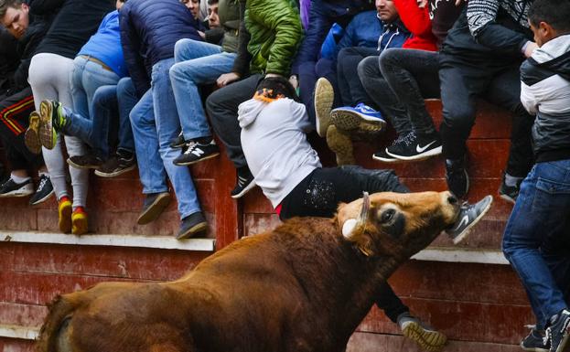 Un joven de 20 años de Soria fue el único herido por asta de toro.