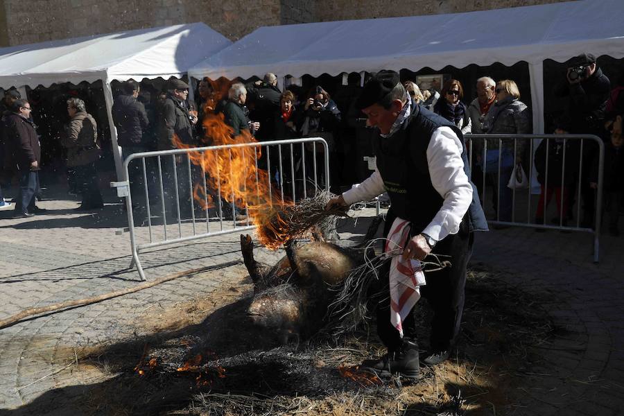 Más de 600 personas se dieron cita el sábado para celebrar la matanza del cerdo, una tradición a la que los habitantes del Valle del Cuco no quieren renunciar.