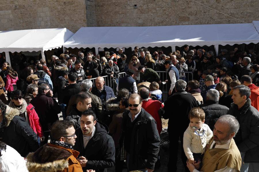 Más de 600 personas se dieron cita el sábado para celebrar la matanza del cerdo, una tradición a la que los habitantes del Valle del Cuco no quieren renunciar.
