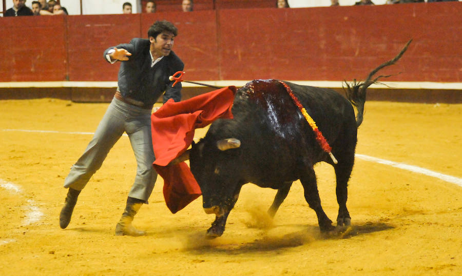 El Festival Taurino de Arroyo se saldó con ocho orejas, dos para Ventura, Padilla, El Fandi y López Simón. No tuvo fortuna Cayetano Rivera y se llevó un buen susto la novillera Rocío Romero, que pese a lo aparatoso del percance solo sufrió un esguince de tobillo. 