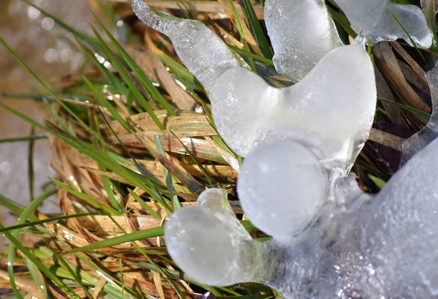 Fotos: Hielo y bajas temperaturas en Covalagua