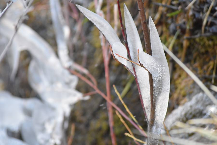 Fotos: Hielo y bajas temperaturas en Covalagua