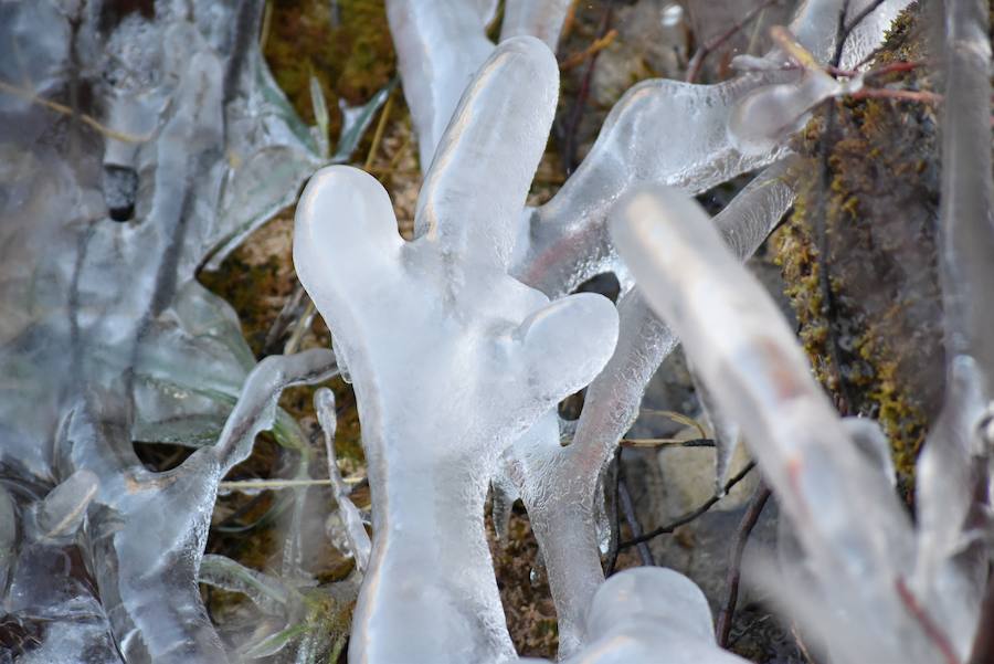 Fotos: Hielo y bajas temperaturas en Covalagua